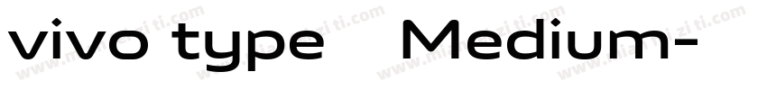 vivo type 简 Medium字体转换